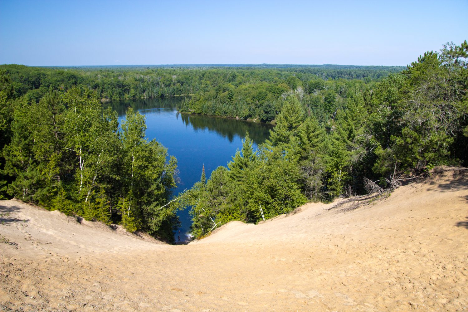 Au Sable River Wilderness Overlook.  Vista della natura selvaggia della foresta nazionale di Huron con il famoso fiume Au Sable nelle lussureggianti foreste verdi del Michigan.