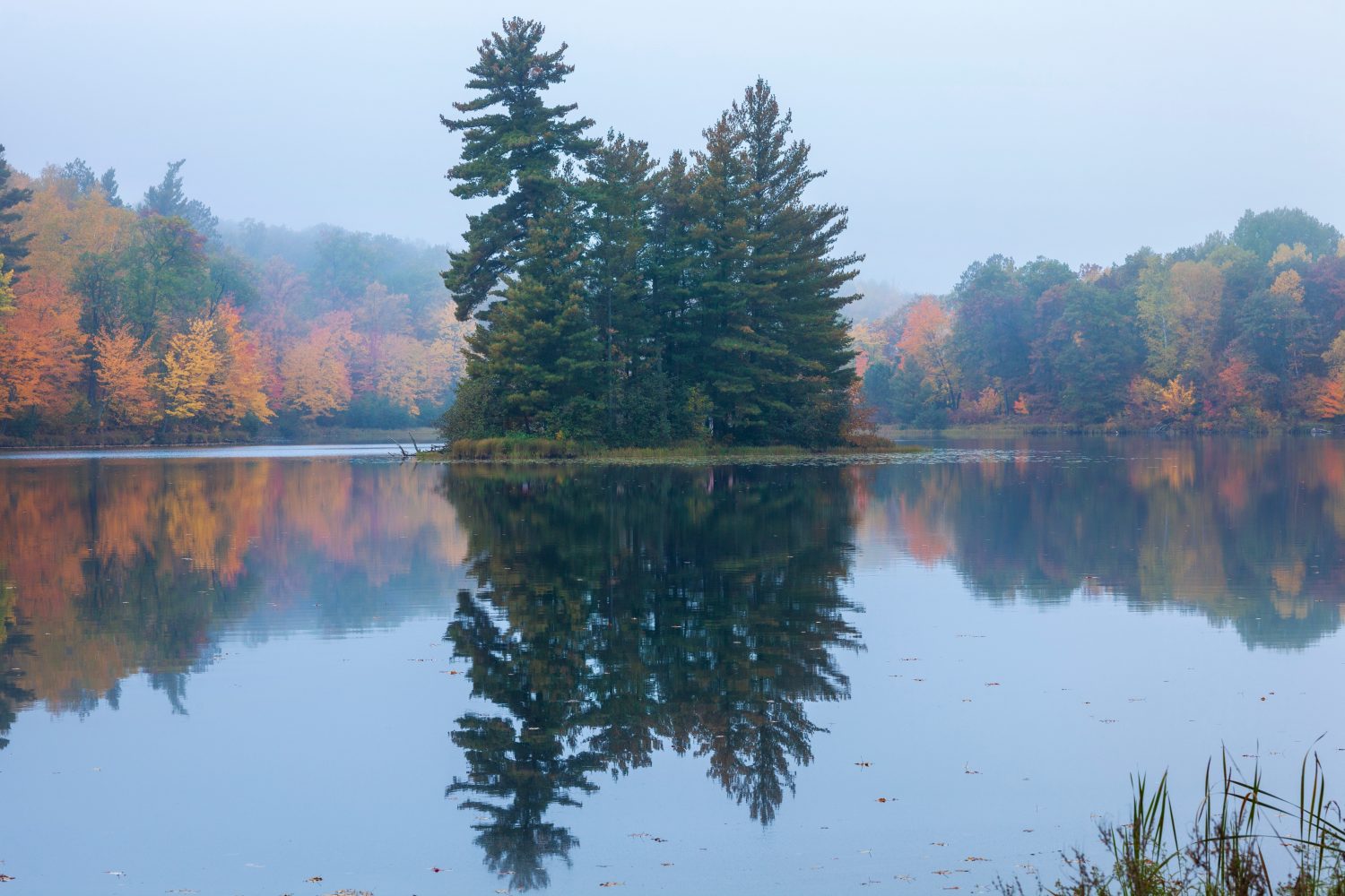 Lago calmo e nebbia nel Minnesota settentrionale con alberi in colore autunnale e pini su una piccola isola