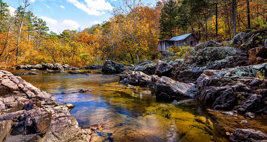 Foresta nazionale Mark Twain del Missouri