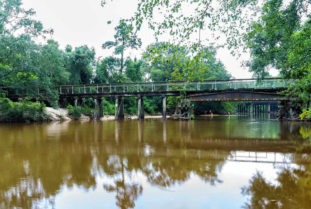 L'acqua tranquilla del fiume Bogue Falaya scorre sotto il Tammany Trace Bike Trail a Covington, Louisiana, un progetto Rails to Trails.