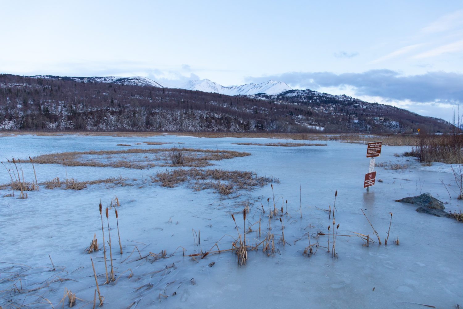 Potter Marsh congelato lungo la Seward Highway