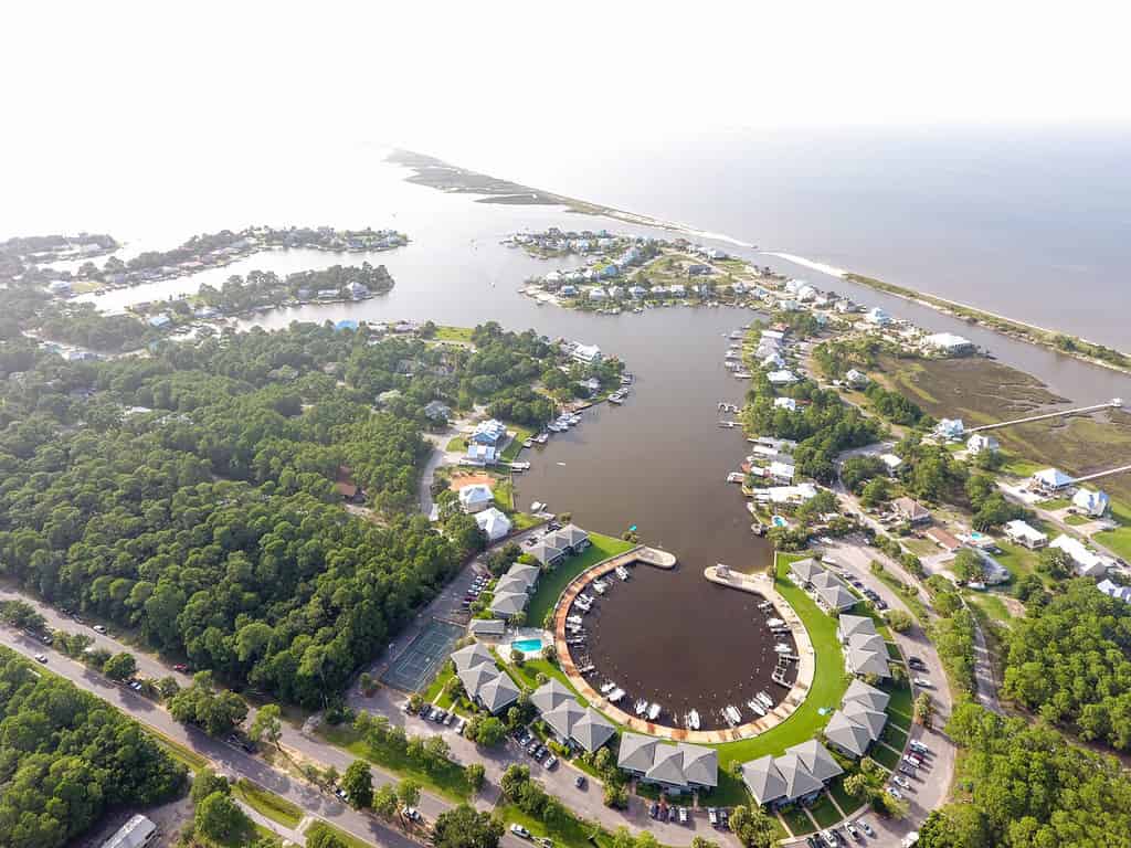 Veduta aerea di Dauphin Island, costa del Golfo dell'Alabama, uccelli che trascorrono i loro inverni in Alabama