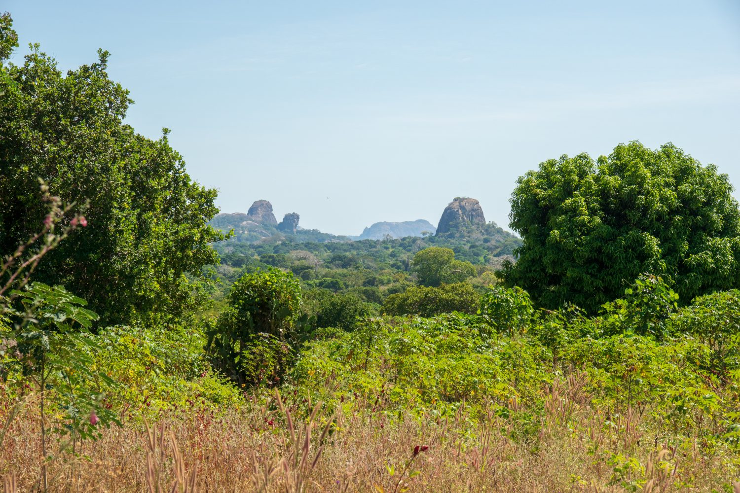 Strada sterrata nella savana incontaminata del Mozambico, in una giornata soleggiata e afosa