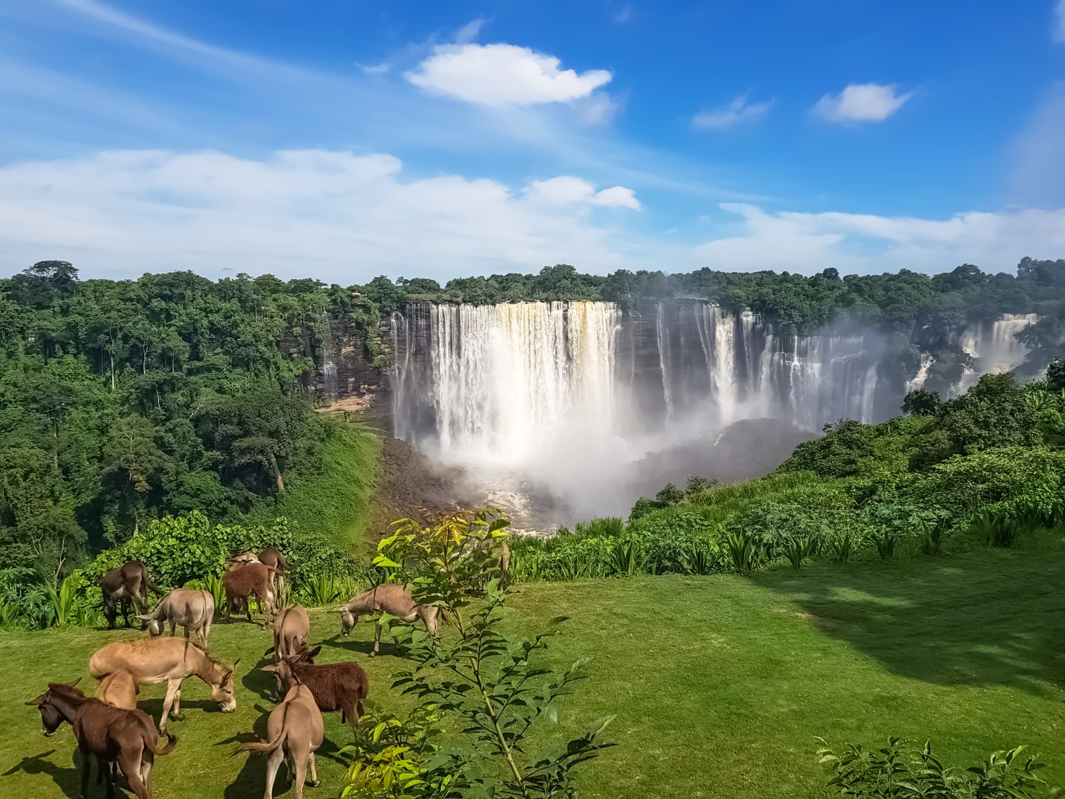 Vista delle cascate Kalandula sul fiume Lucala, asini che pascolano in un campo di erbe, foresta tropicale e cielo nuvoloso come sfondo, in Angola