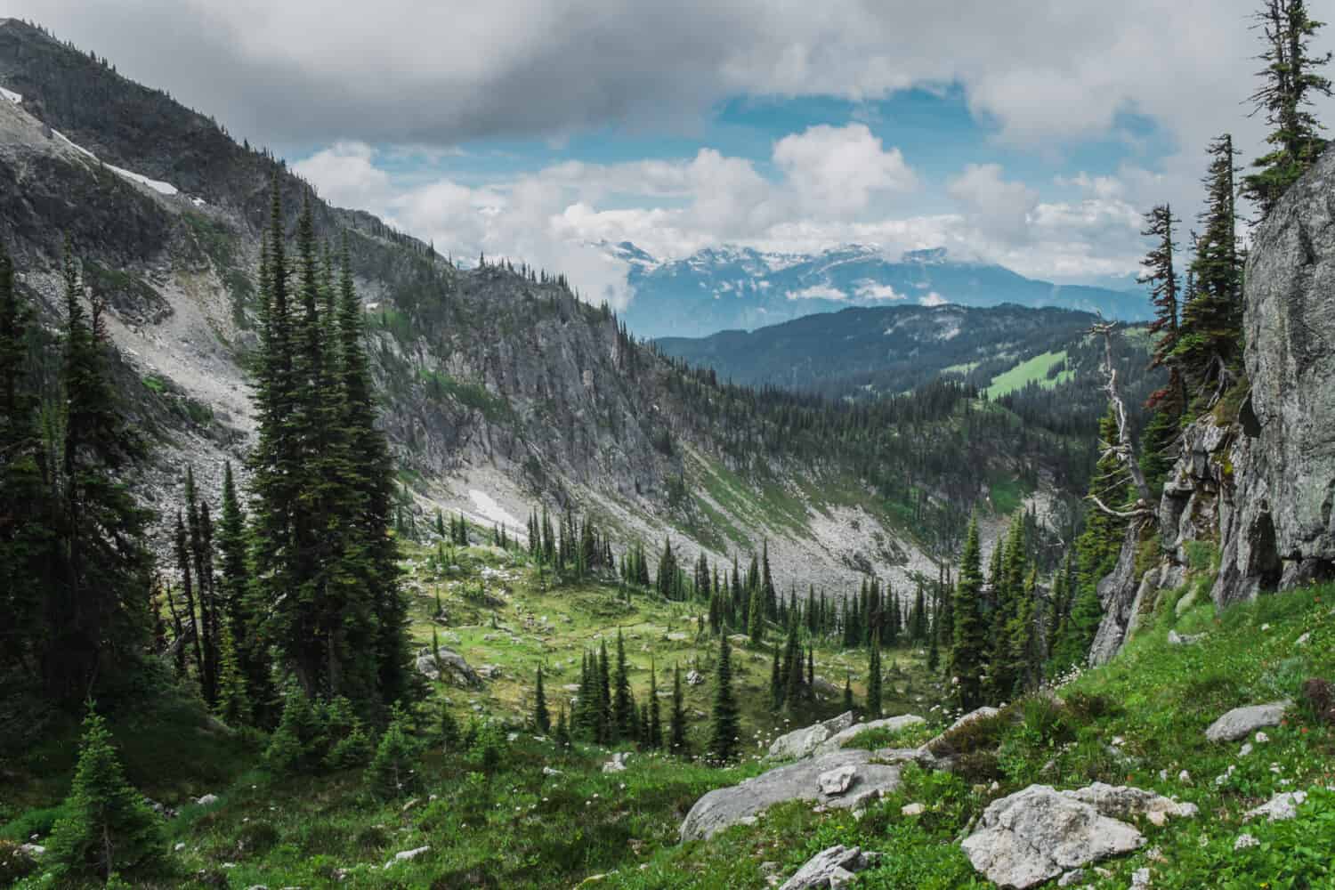 Parco Nazionale Revelstoke in Canada con foresta boreale e montagne rocciose e ghiacciaio dietro durante il pomeriggio estivo con nuvole e cielo