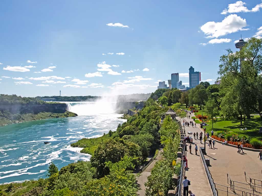 Cascate del Niagara, un complesso di cascate sul fiume Niagara