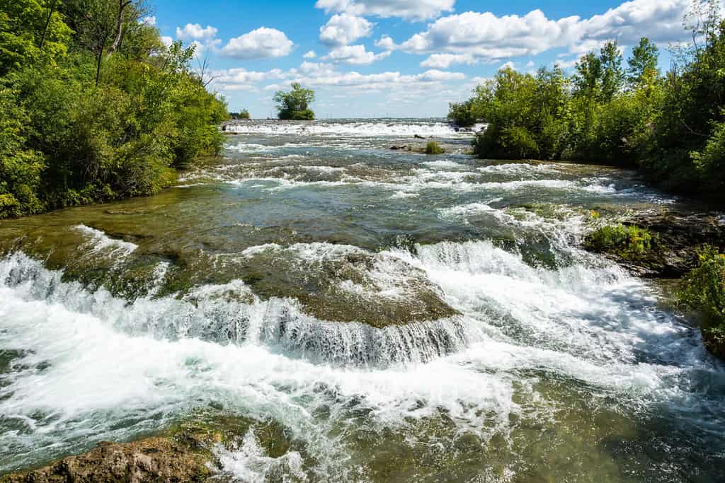 Vista del fiume Niagara a Three Sisters Island nel Niagara Falls State Park negli Stati Uniti d'America.