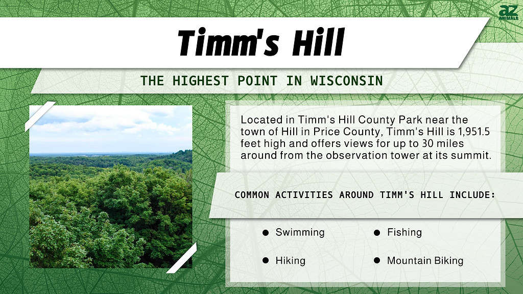 Infografica di Timms Hill