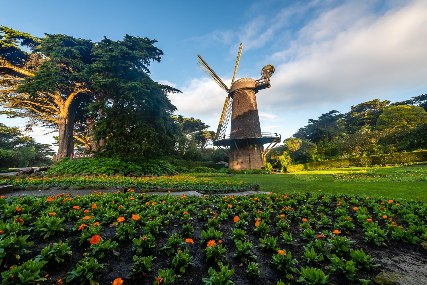 Mulino a vento olandese del Golden Gate Park