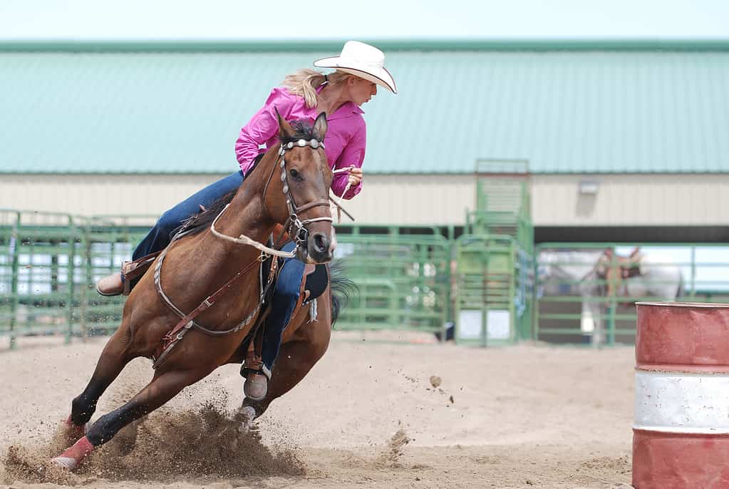 Rodeo Barrel Racer