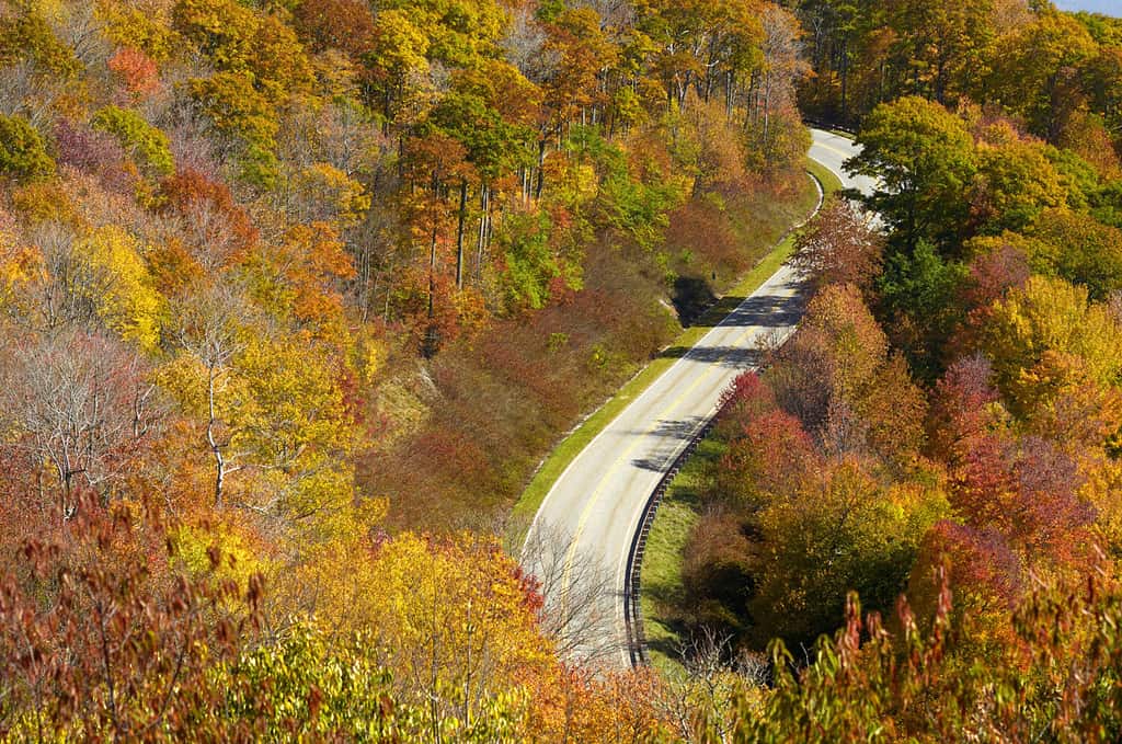 Cherohala Skyway a fine ottobre, al culmine della stagione dei colori delle foglie autunnali.