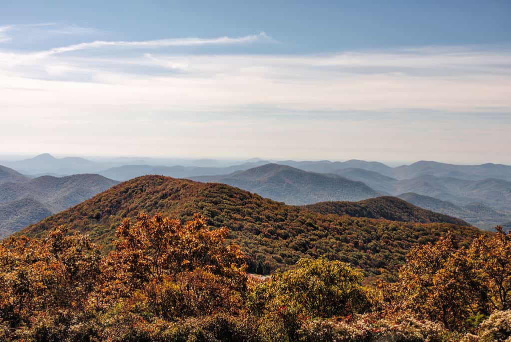 Vista del paesaggio autunnale dalla montagna calva di Brasstown in Georgia