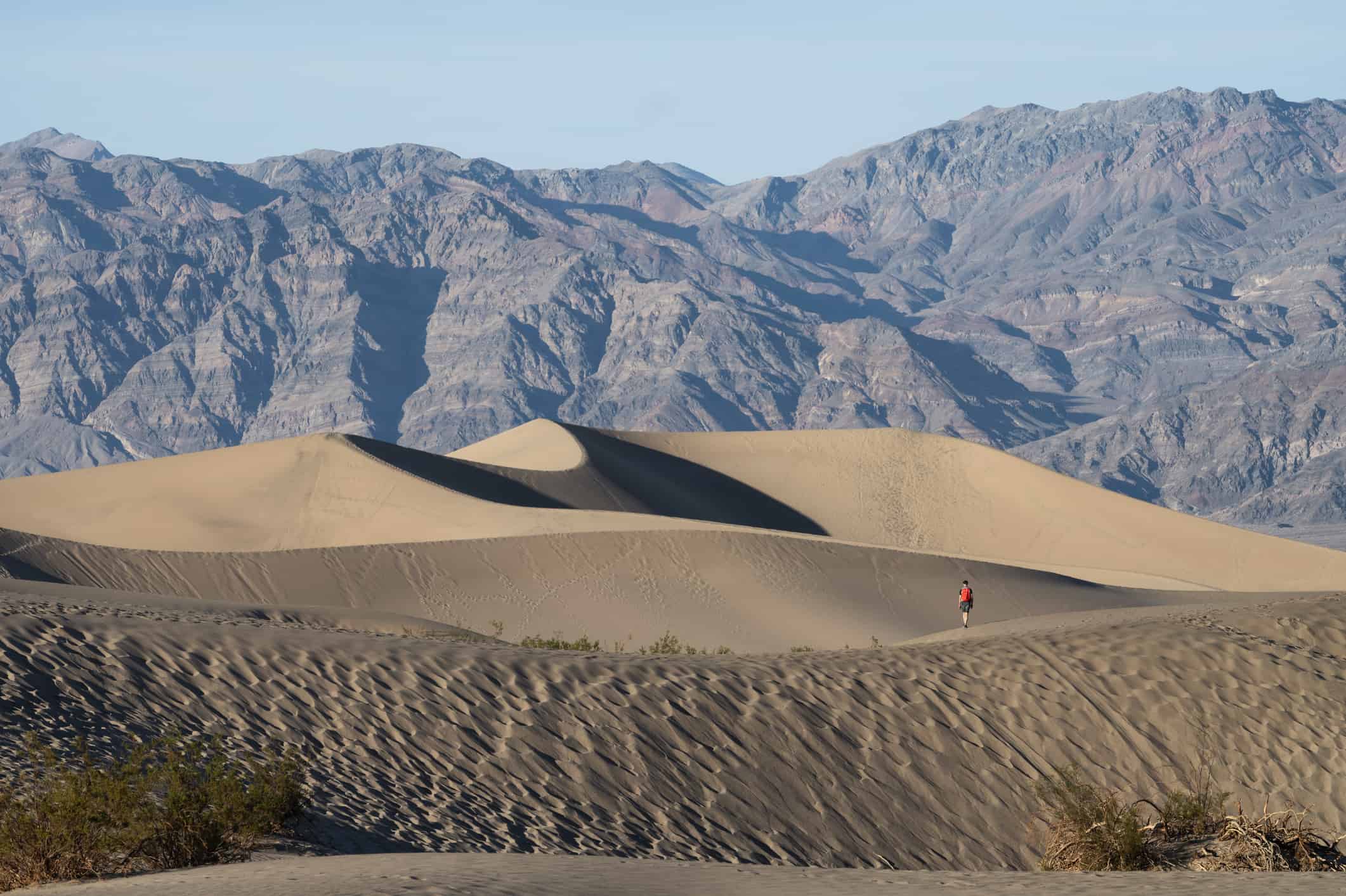 Dune di sabbia piane di Mesquite al tramonto nella Death Valley, California