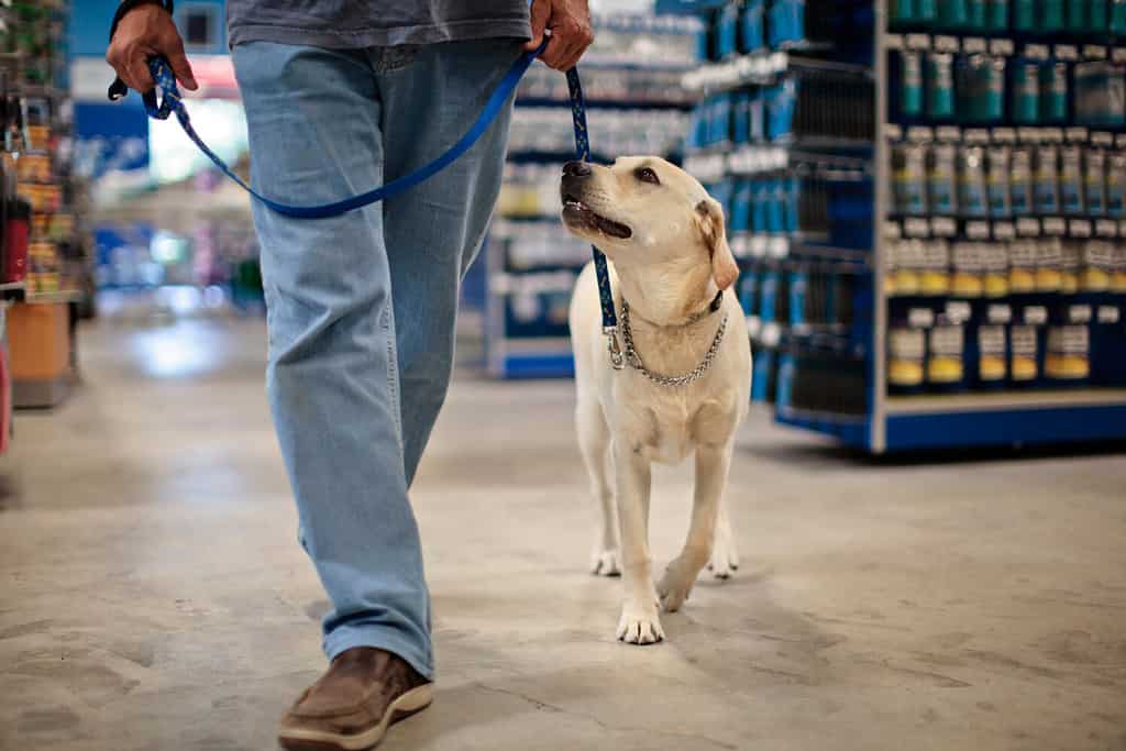 Uomo e cane al guinzaglio che camminano nel negozio di ferramenta.