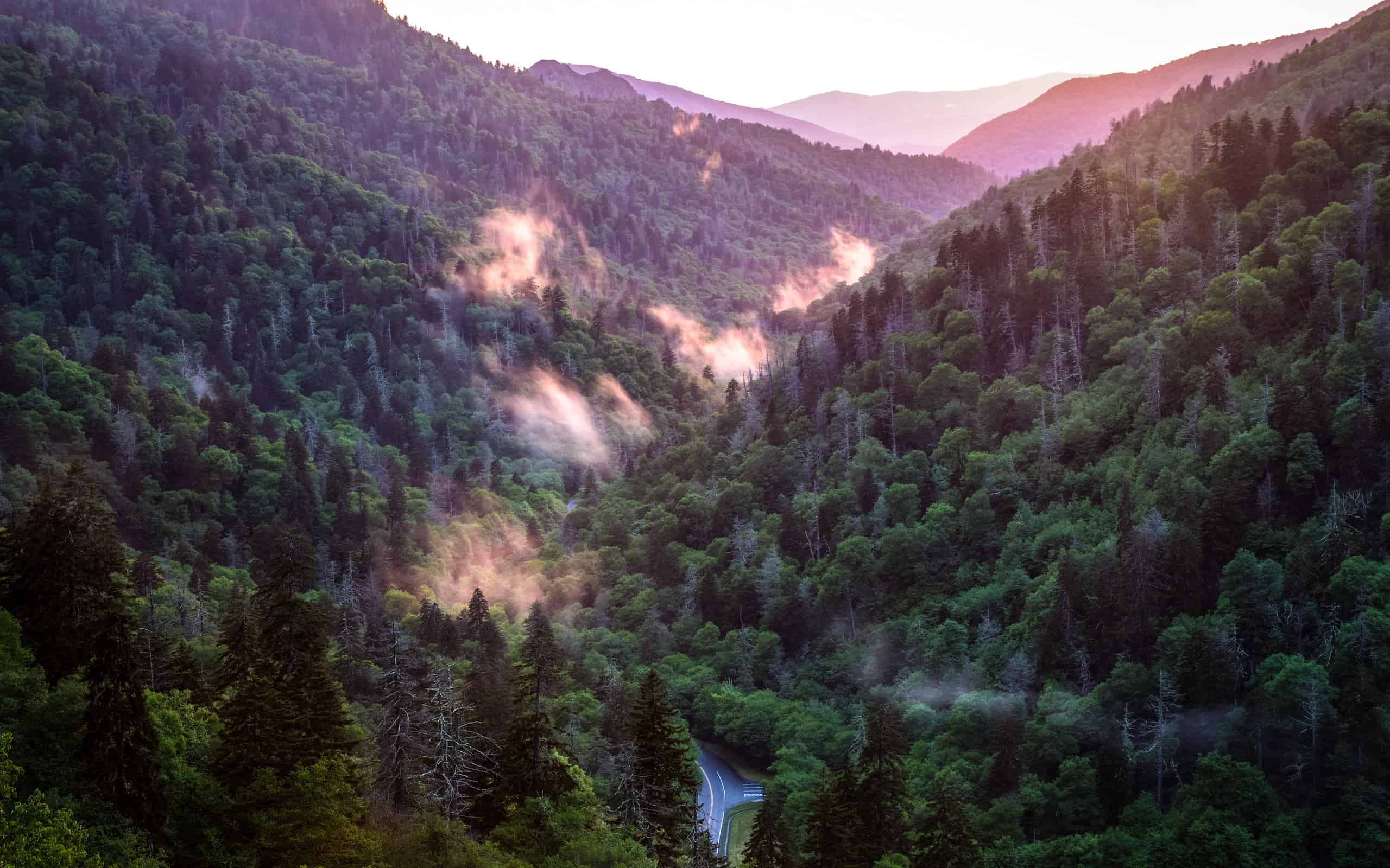 Panorama al tramonto delle Great Smoky Mountains con tortuosa strada di montagna in primo piano