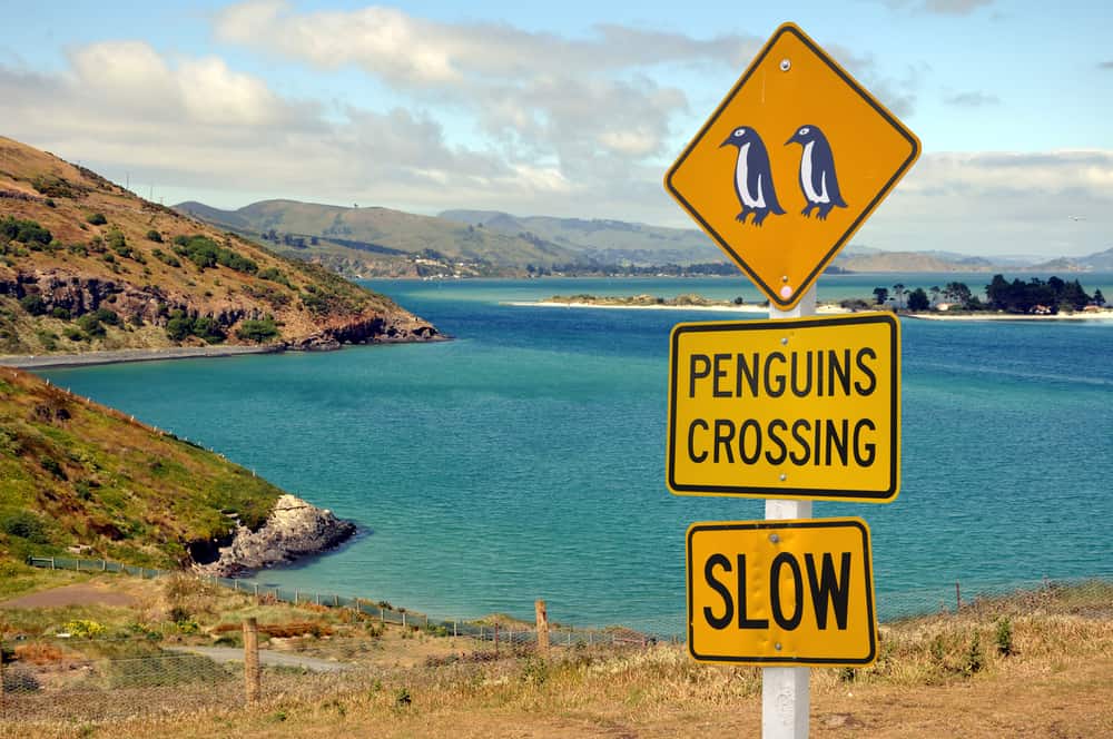 Segnale stradale che attraversa i pinguini, penisola di Otago, Nuova Zelanda
