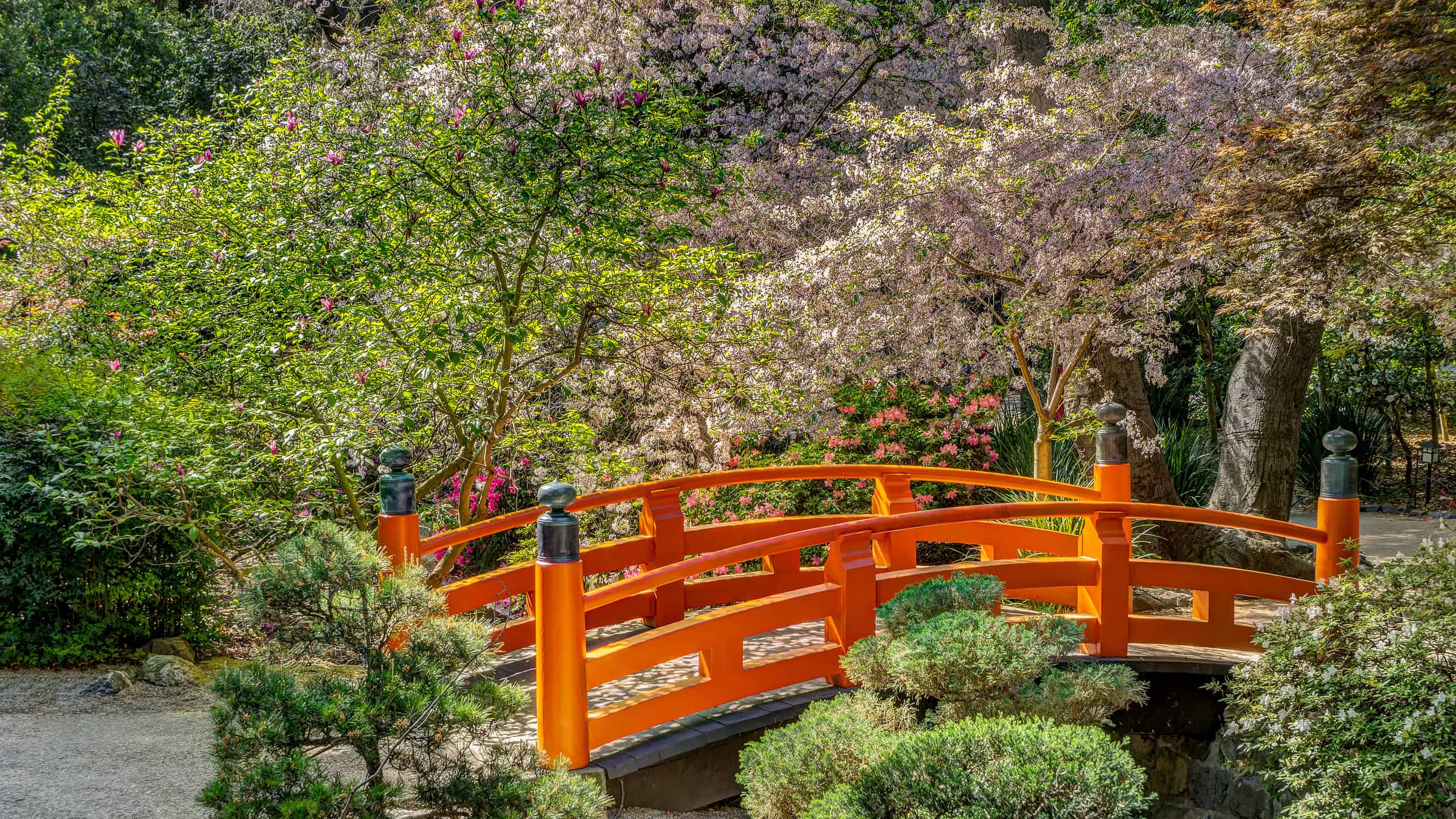 Giardini Descanso con fiori di ciliegio