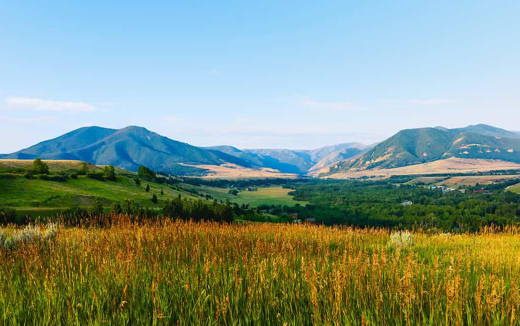 Loggia Rossa, Montana, Stati Uniti.  Le colline ai piedi delle montagne Bear Tooth all'alba viste dalla Bear Tooth Mountain Pass Highway in una bella mattinata estiva vicino a Red Lodge, Montana, USA.