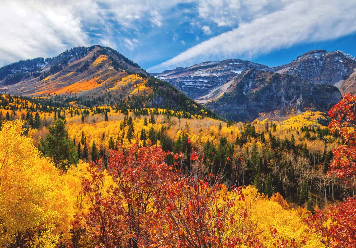 Colori degli alberi autunnali nel deserto del Monte Timpanogos lungo le montagne Wasatch nell'American Fork Canyon, nella contea dello Utah.