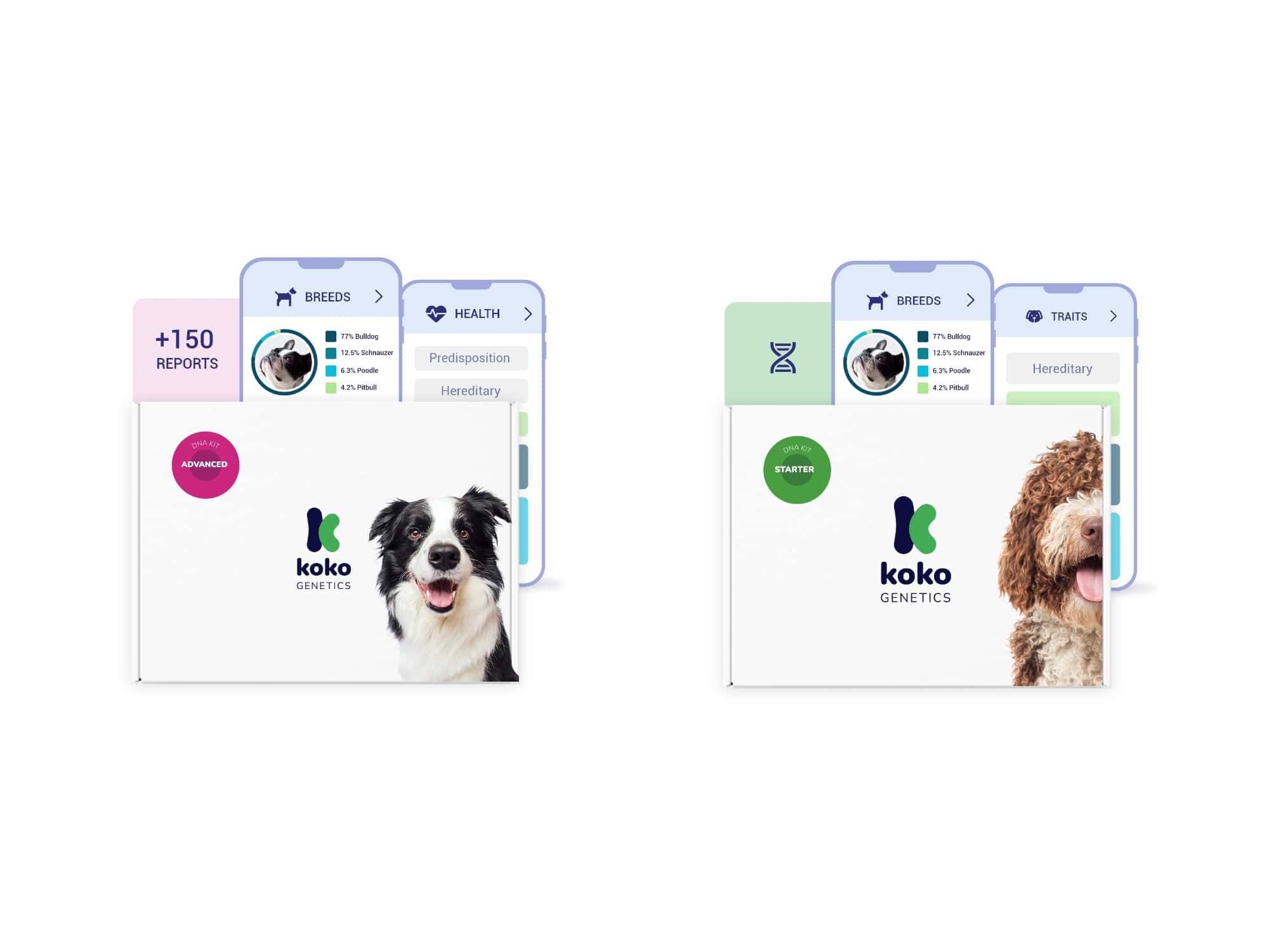 Test del DNA del cane Koko Genetics