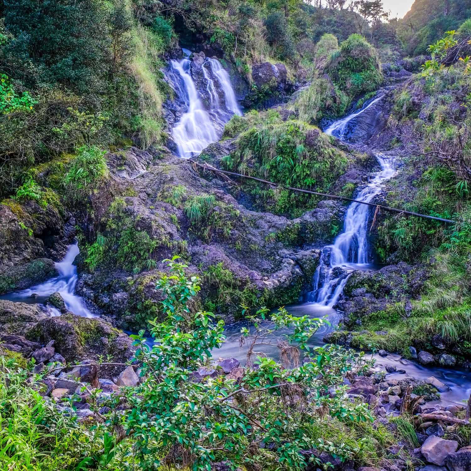 La bellissima cascata Hanawi Falls sulla strada per Hana a Maui, Hawaii, con una vegetazione lussureggiante che ricopre la roccia lavica.