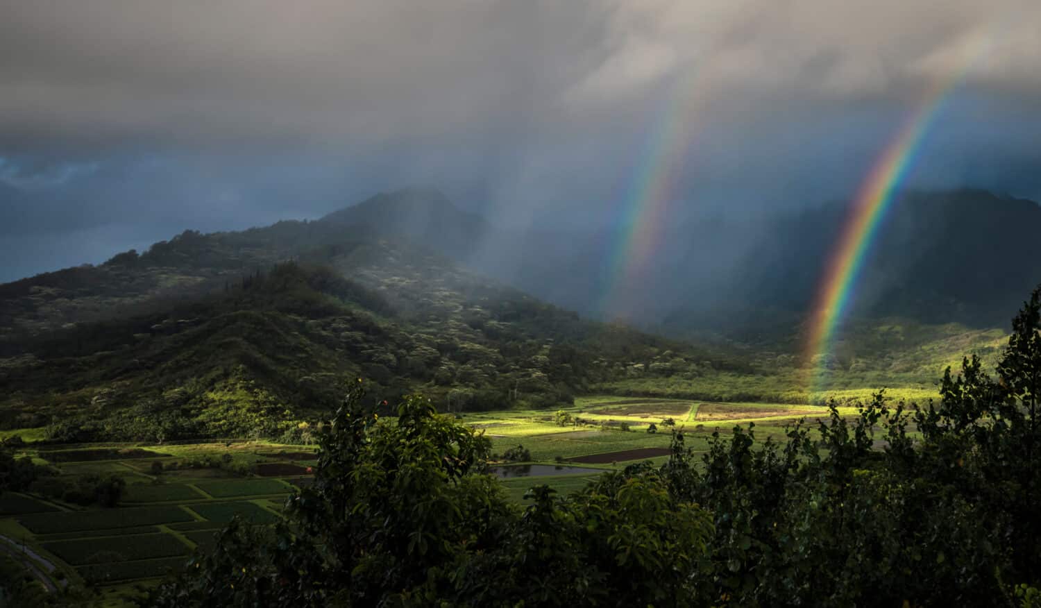 Il doppio arcobaleno e i raggi del sole illuminano i campi di taro sul belvedere Hanalai di Kauai.