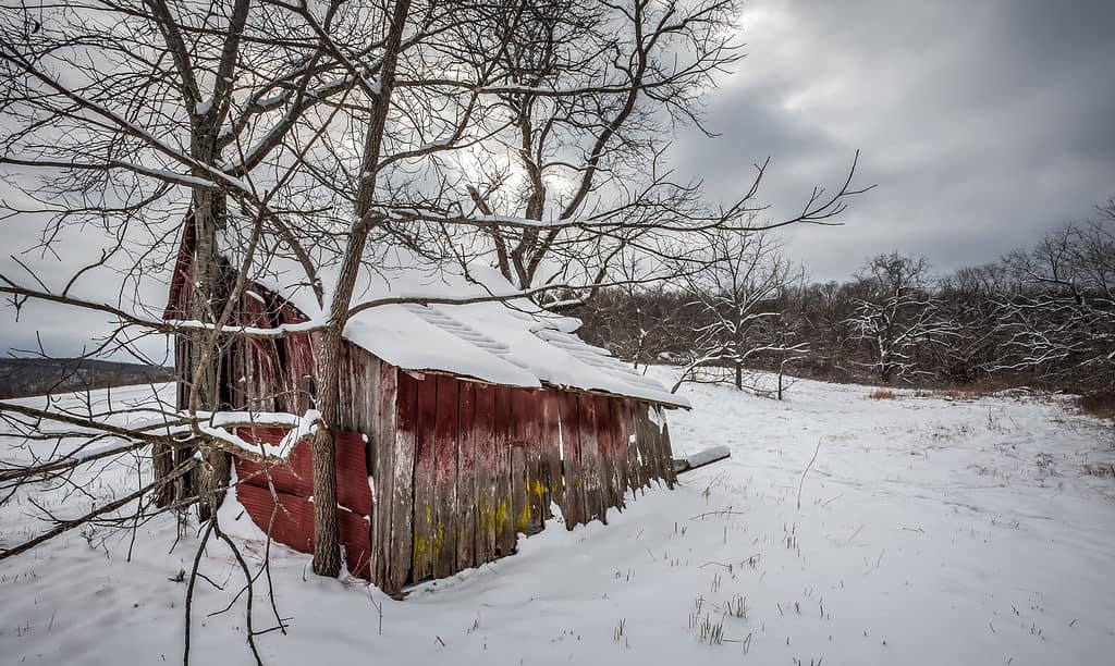 Ozark, Missouri, scena nevosa - Temperatura più fredda registrata nel Missouri