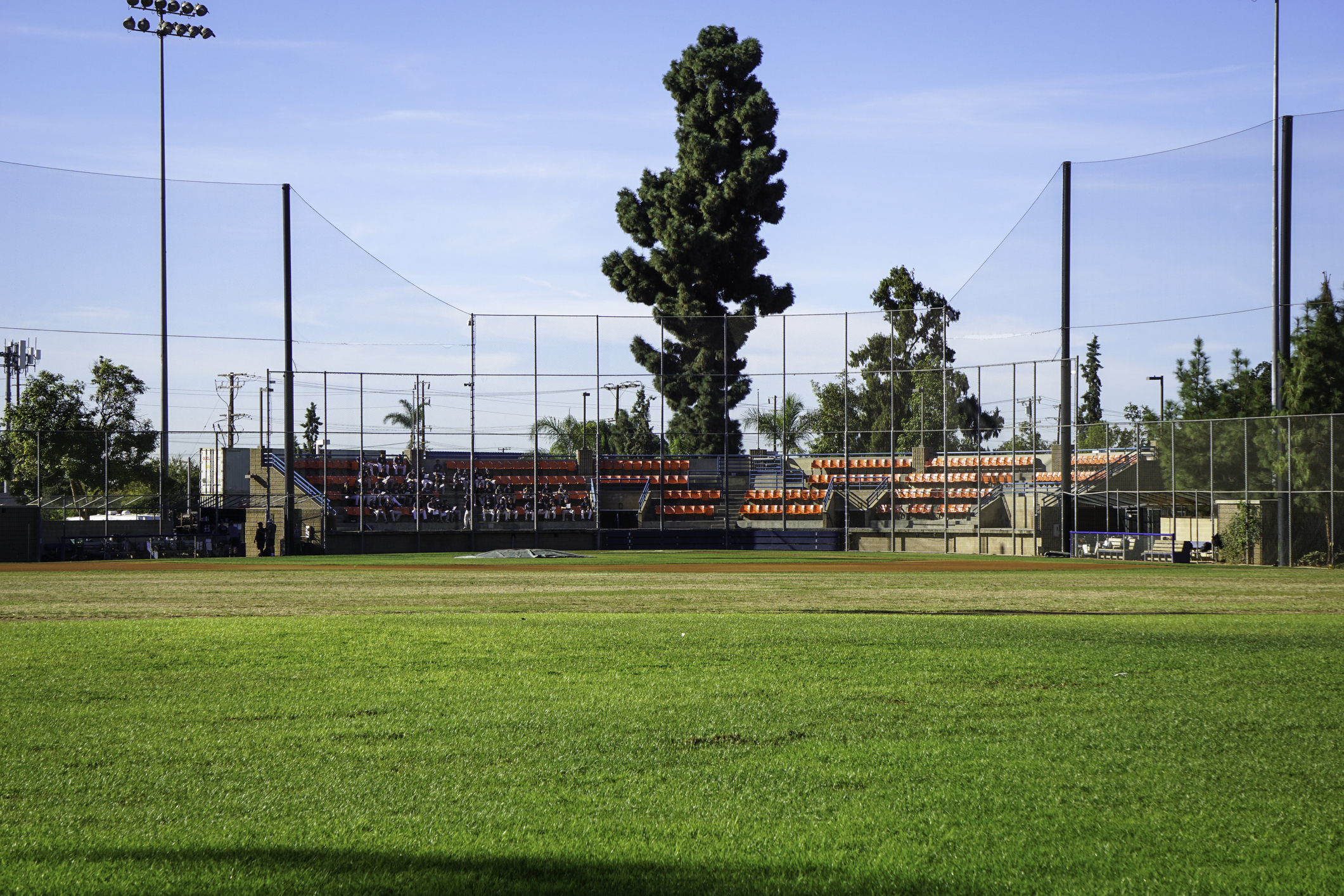 Campo da baseball