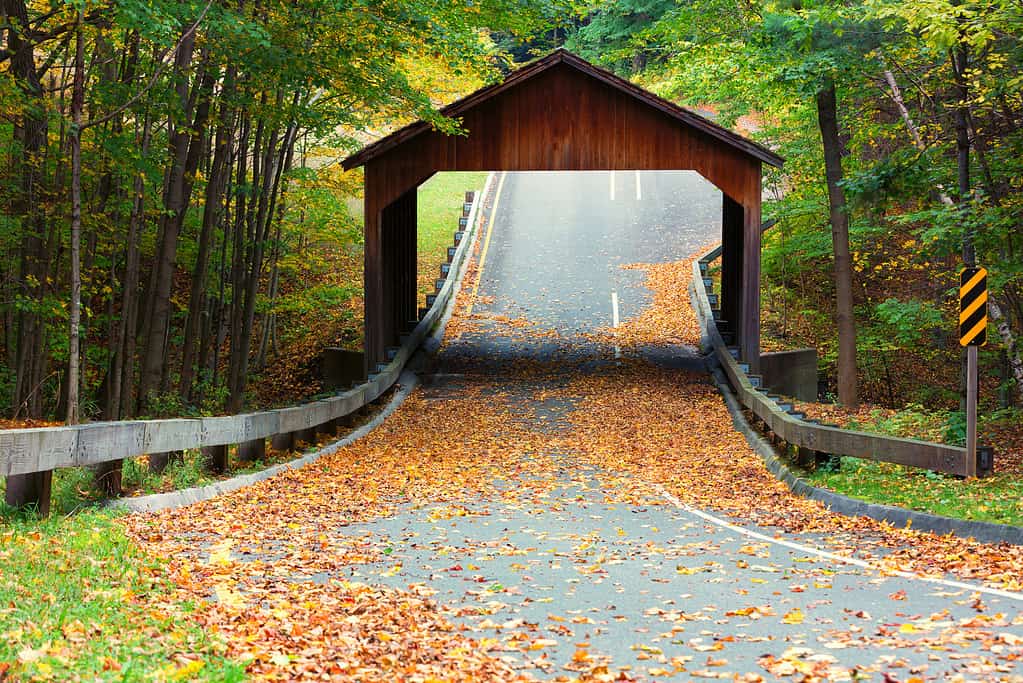 Ponte coperto su Pierce Stocking Drive a Sleeping Bear Dunes