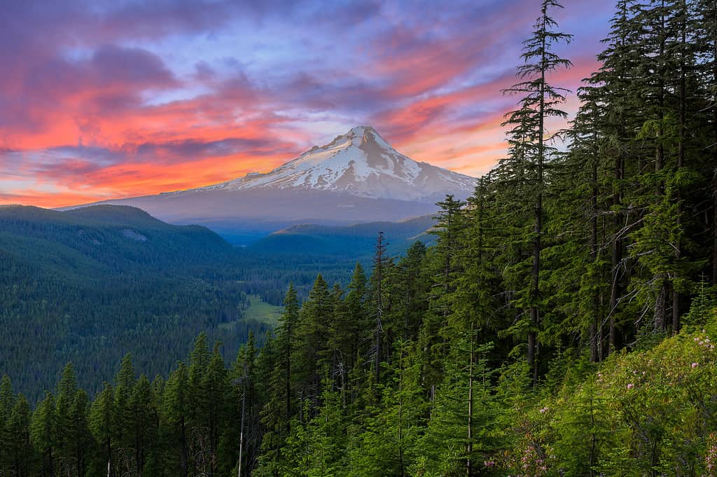 Oregon - Stato degli Stati Uniti, Monte Hood, Foresta, Pacifico nordoccidentale, Montagna