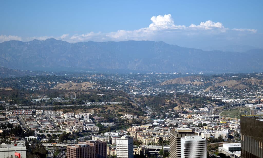 Scopri la foresta infestata in California: quanto è spaventosa?
