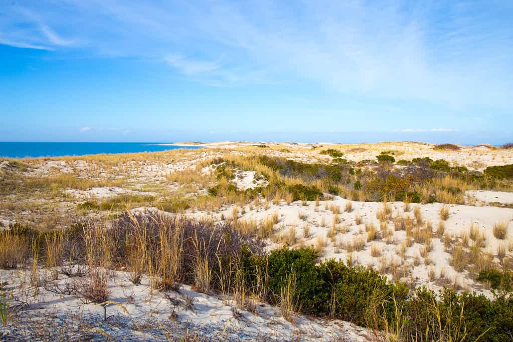 Vista della riva del mare del Delaware