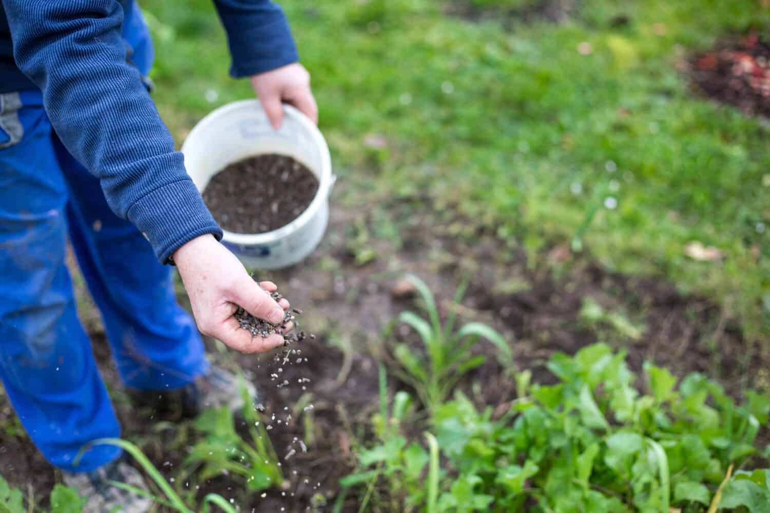 Fertilizzare il giardino con fertilizzante biogranulare per migliori condizioni del giardino