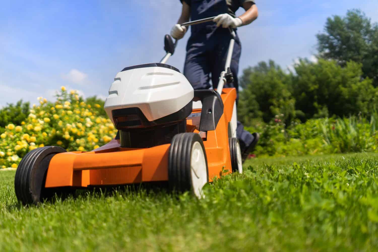 Un giovane sta falciando un prato con un tosaerba nel suo bellissimo giardino estivo floreale e verde.  Un giardiniere professionista con un tosaerba si prende cura dell'erba del cortile.