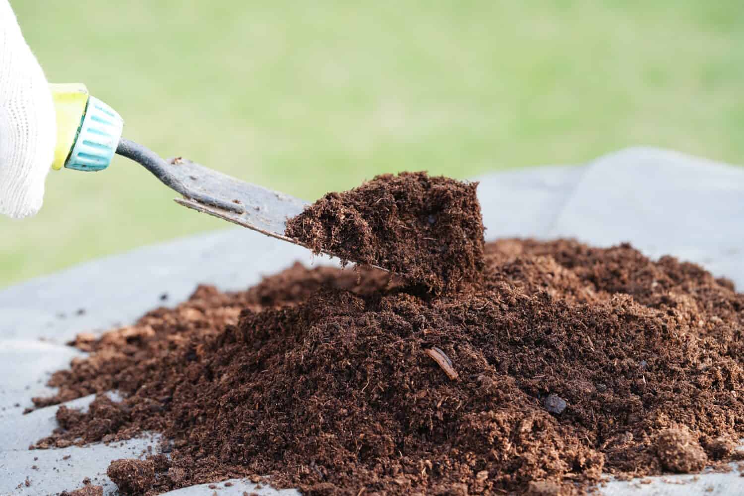 Muschio di torba, terreno fertilizzante per l'agricoltura biologica, coltivazione di piante, concetto di ecologia.