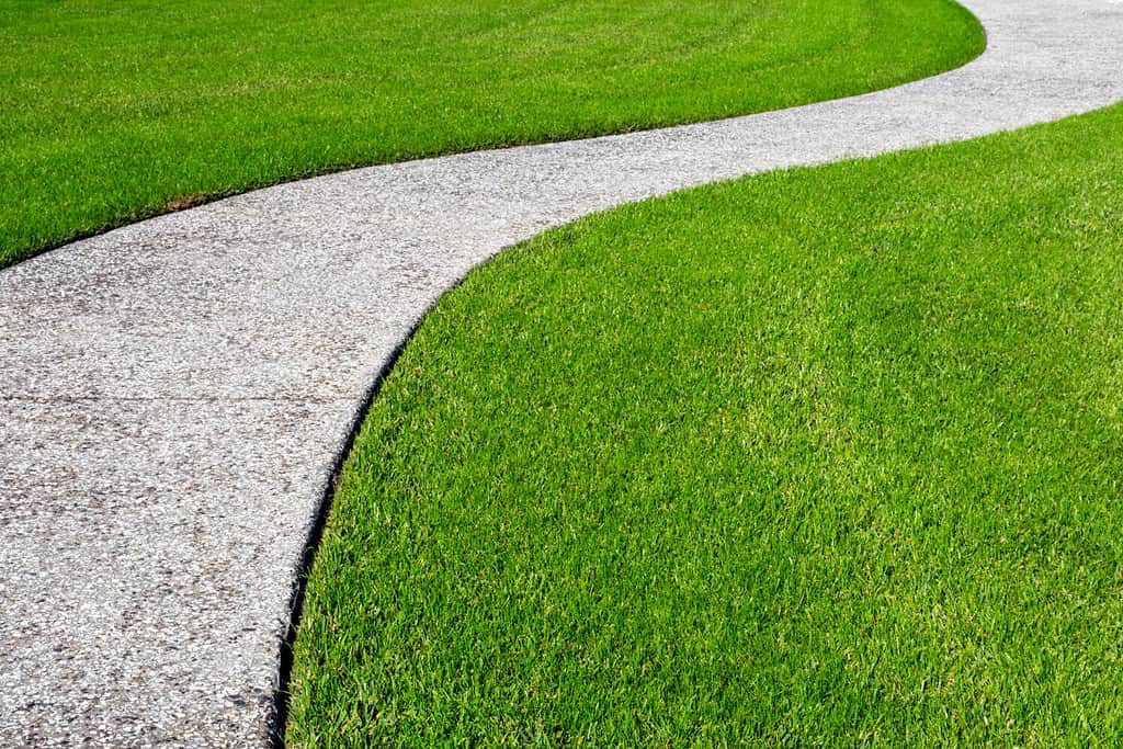 Uno spesso tappeto di erba zoysia e un sentiero soriano di conchiglie di ostriche suggeriscono il concetto di un viaggio o di un giardino ben curato.