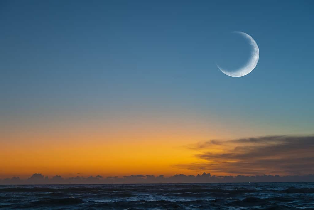 Luna nuova o Ð¡rescente sopra l'oceano.  Mezza luna sul luminoso cielo serale, spazio per il testo