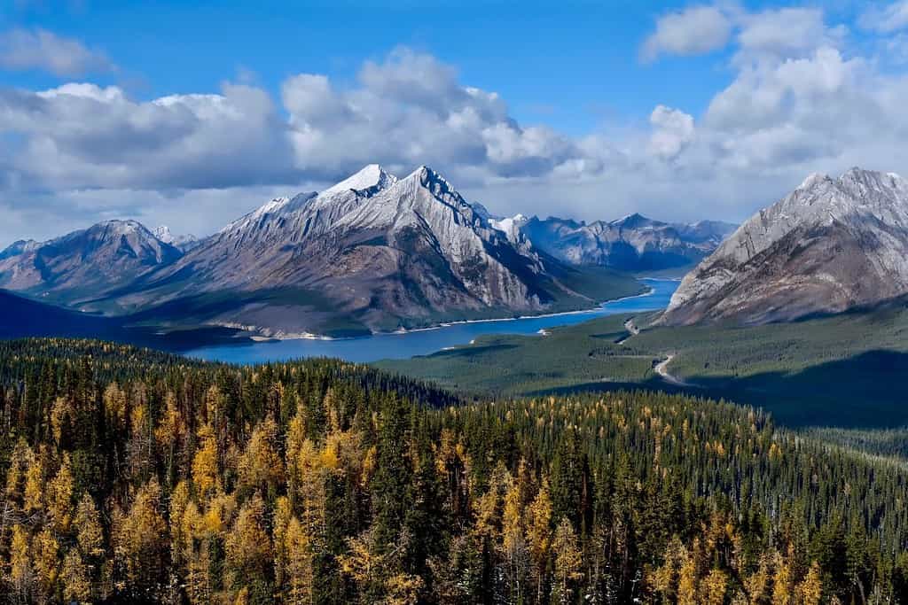 Paesaggio delle Montagne Rocciose con lago e larici dorati.  Tenda Ridge a ferro di cavallo.  Spray Lake nel parco provinciale di Spray Valley.  Kananaskis.  Alberta.  Canada.