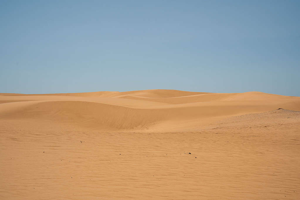 Deserto del Little Sahara State Park, Oklahoma