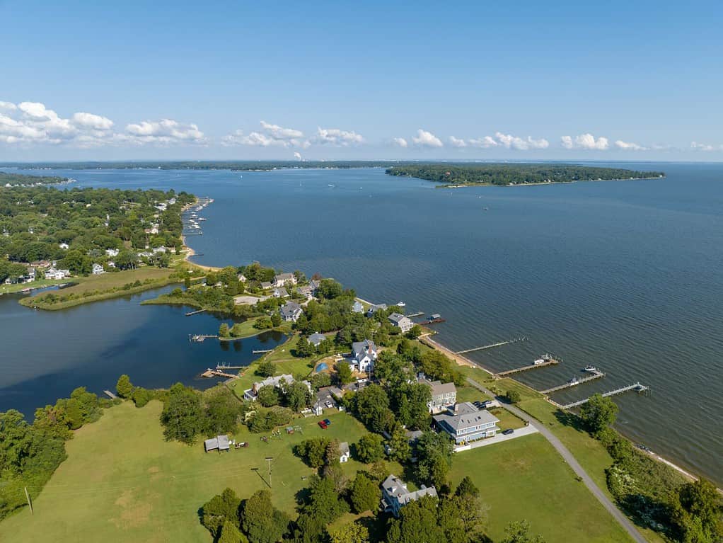 Le zone morte di Chesapeake Bay sono state tra le prime identificate al mondo.