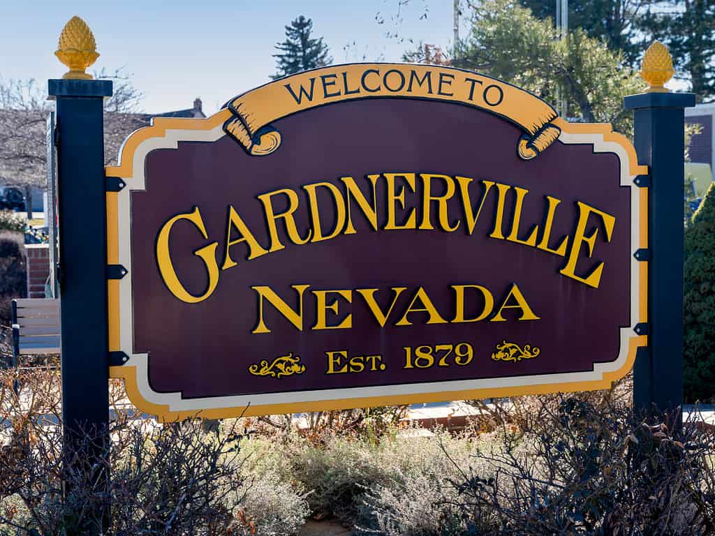 Benvenuti al cartello stradale di Gardnerville Nevada.
