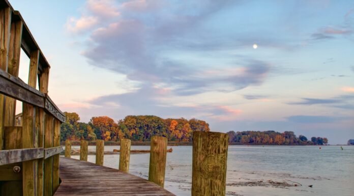 Caccia nel Michigan: 5 grandi terre di caccia pubbliche
