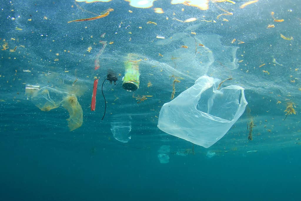 Inquinamento da plastica nell'oceano