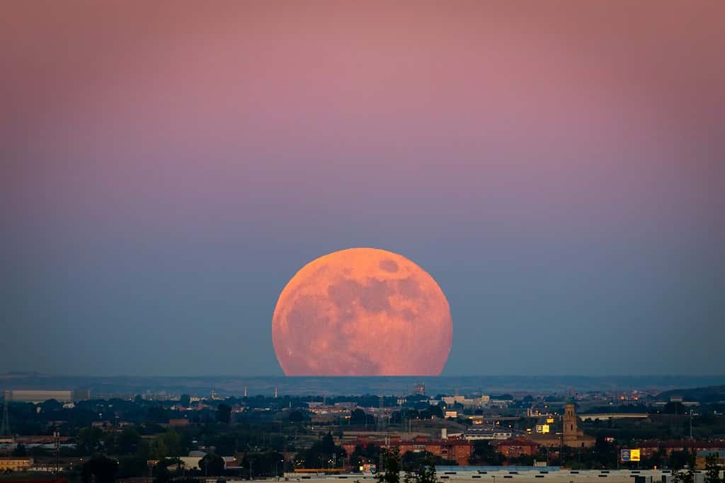 La Supermoon delle fragole (Supermoon delle fragole) al tramonto con gradiente dal blu al rosa sullo skyline della città nel giugno 2020 in Spagna.