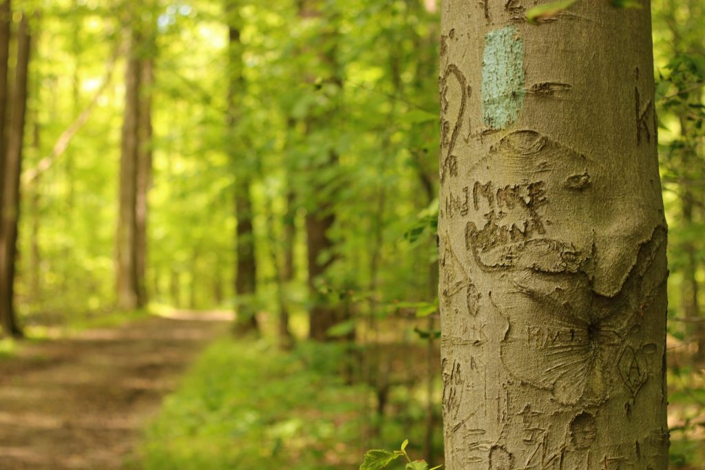 Metropark Buckeye Trail nell'Ohio