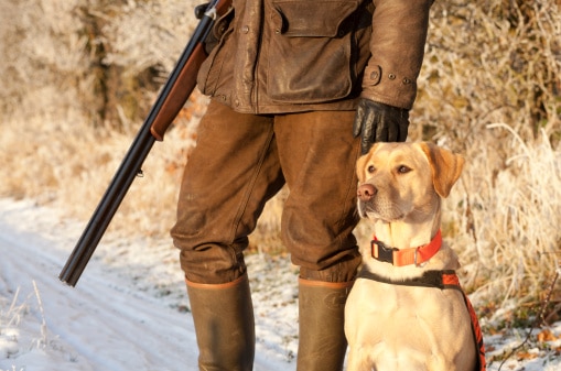 Un cacciatore in piedi con la sua pistola e il suo cane