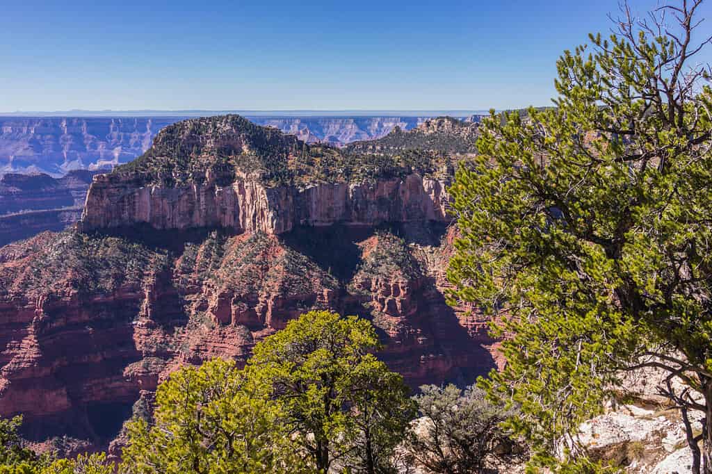 Stati Uniti.  Arizona.  Contea di Coconino.  Lungo il Bright Angel Point Trail (Grand Canyon, North Rim).