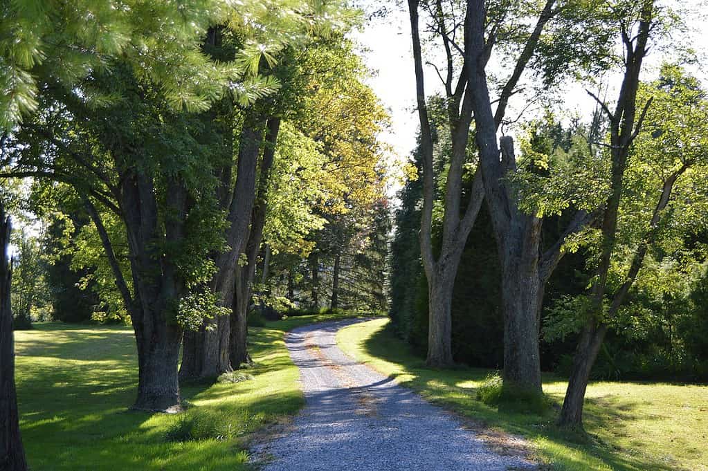 Vialetto d'accesso all'Hermitage, situato lungo Kabletown Road a sud di Charles Town nella contea di Jefferson, West Virginia, Stati Uniti.  Sede di R. Preston Chew, la fattoria è elencata nel registro nazionale dei luoghi storici.