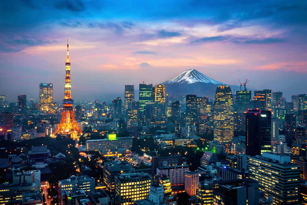 Veduta aerea del paesaggio urbano di Tokyo con il monte Fuji in Giappone.
