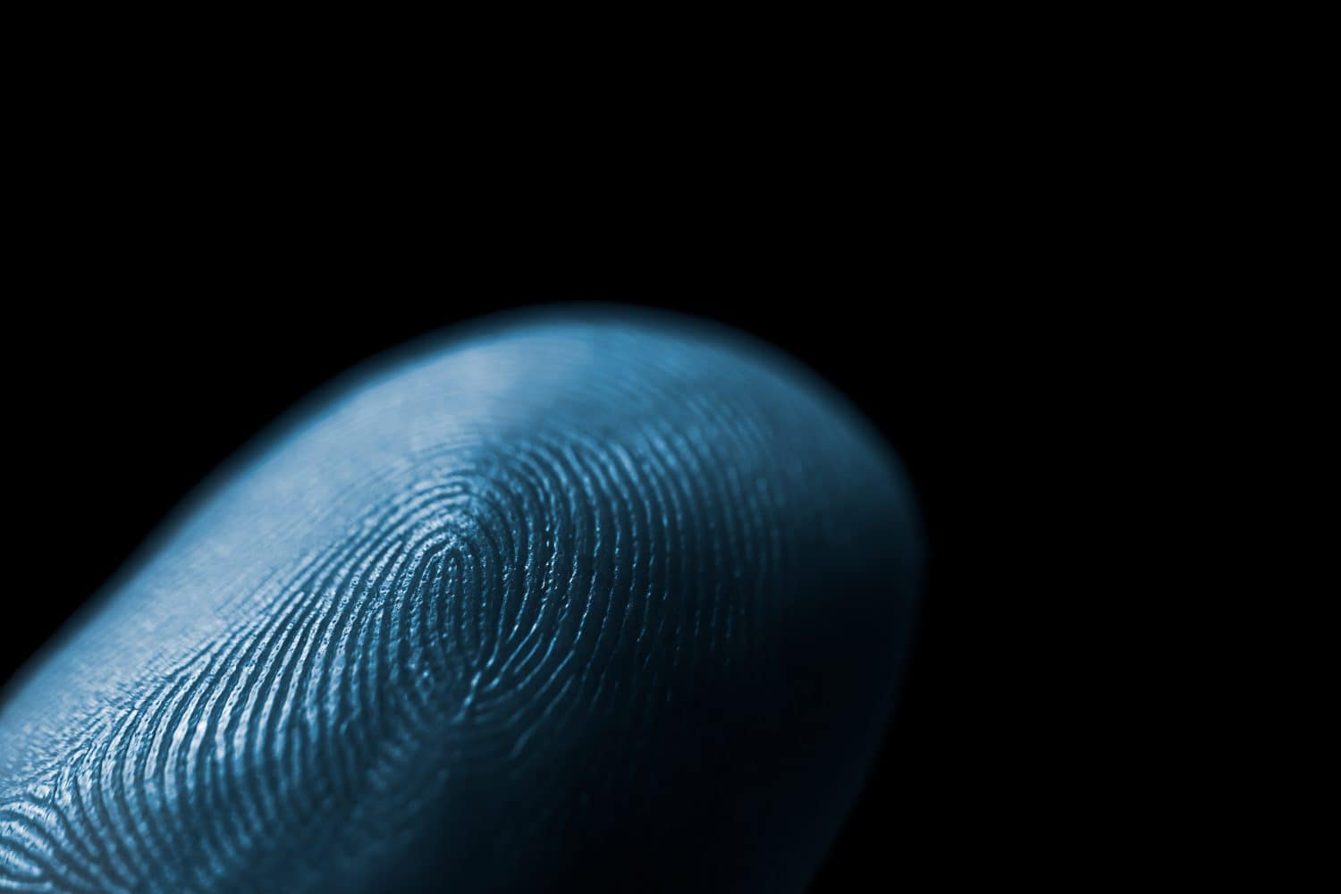 Primo piano della trama dell'impronta digitale di colore blu della pelle delle dita